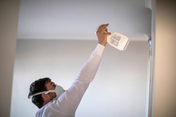 Best Professional Mold Removal  in Sugarcreek, PA