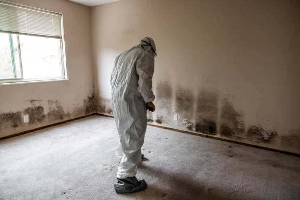Crawl Space Mold Removal in Sugarcreek, PA